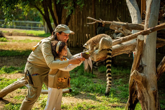 Dubai Safari Park