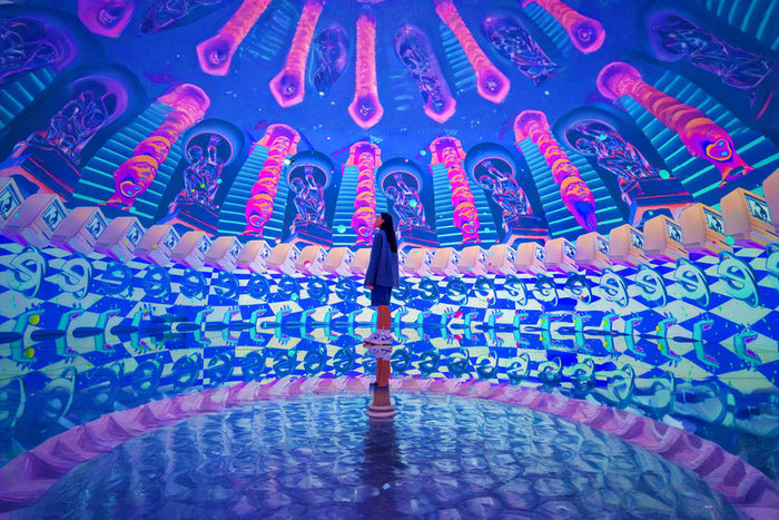 House Of Hype Dubai Mall - 1