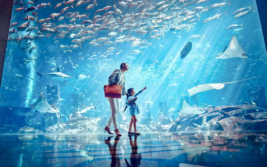 Lost World Aquarium Day Pass