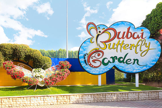 Dubai Butterfly Garden