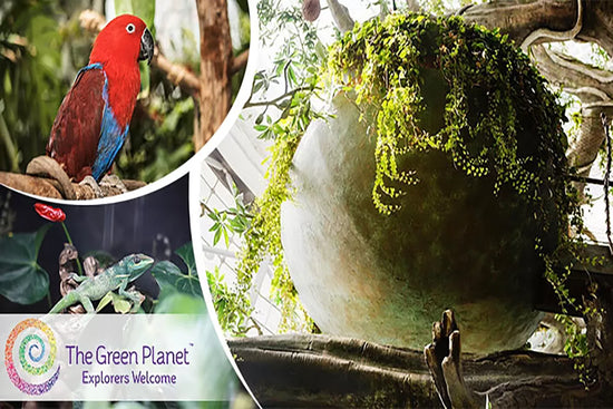 The Green Planet Dubai