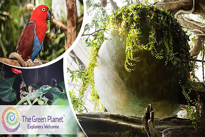The Green Planet Dubai - 1