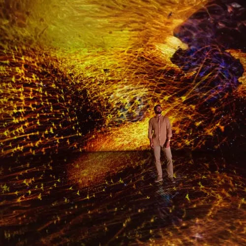 TeamLab Phenomena Abu Dhabi - 3