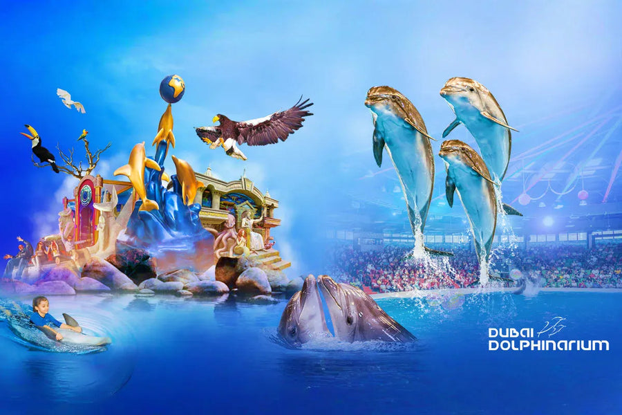 Dolphin and Seal Show Dubai Dolphinarium - 3