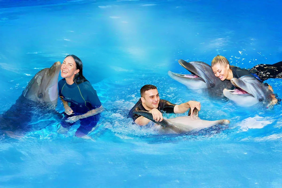 Dolphin and Seal Show Dubai Dolphinarium