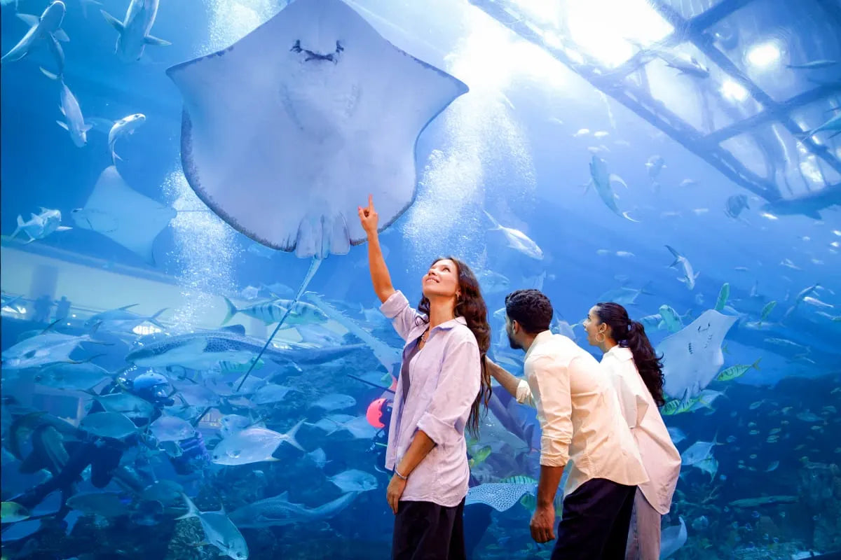 Dubai Aquarium and Underwater Zoo