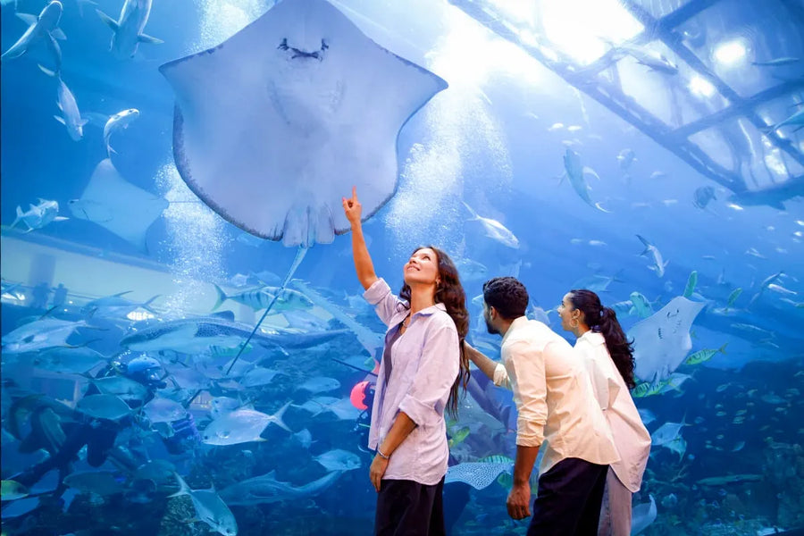 Dubai Aquarium and Underwater Zoo - 1