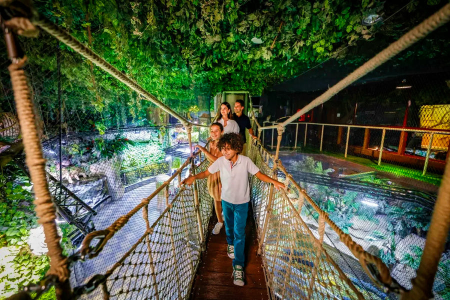 Dubai Aquarium and Underwater Zoo - 6