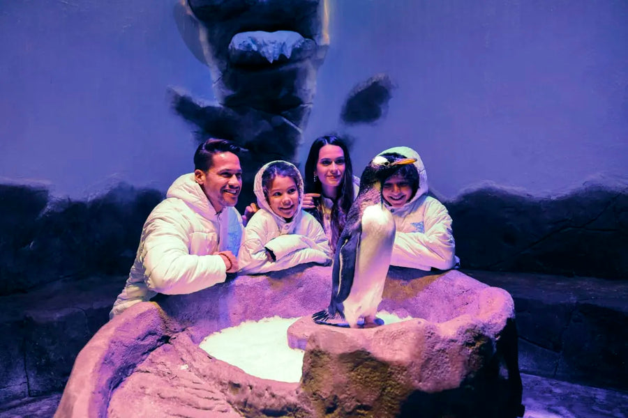 Dubai Aquarium and Underwater Zoo - 2