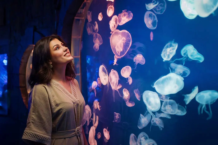 Dubai Aquarium and Underwater Zoo - 2