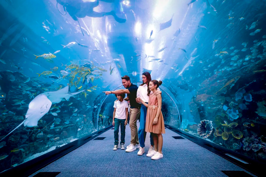 Dubai Aquarium and Underwater Zoo - 7