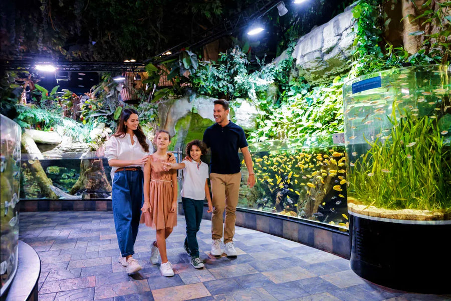 Dubai Aquarium and Underwater Zoo - 8
