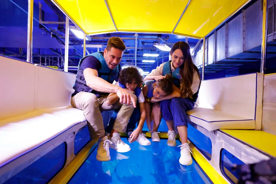 Dubai Aquarium and Underwater Zoo - 4