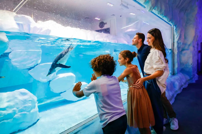Dubai Aquarium and Underwater Zoo - 4