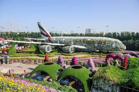 Dubai Butterfly Garden