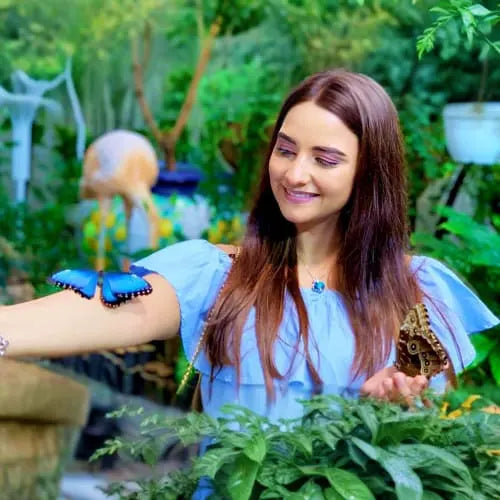 Dubai Butterfly Garden