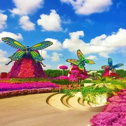 Dubai Butterfly Garden - 2