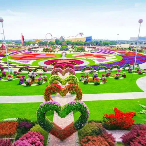 Dubai Butterfly Garden