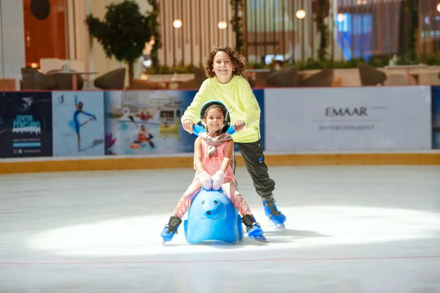 Dubai Ice Rink - 6