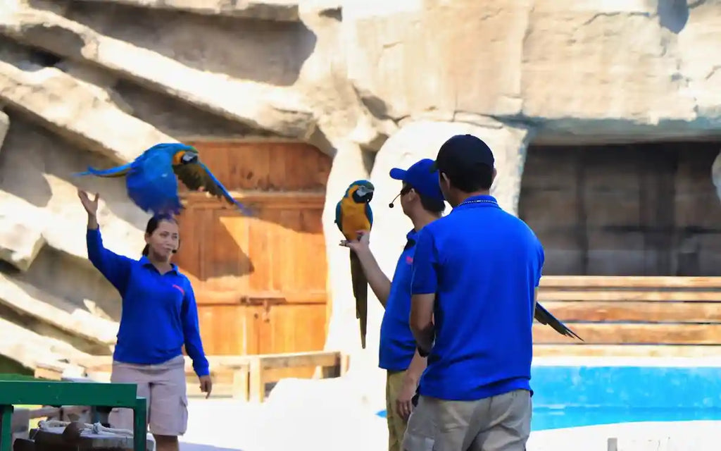 Emirates Park Zoo Tickets