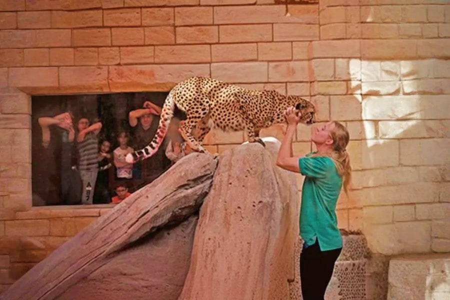 Emirates Park Zoo Tickets - 6