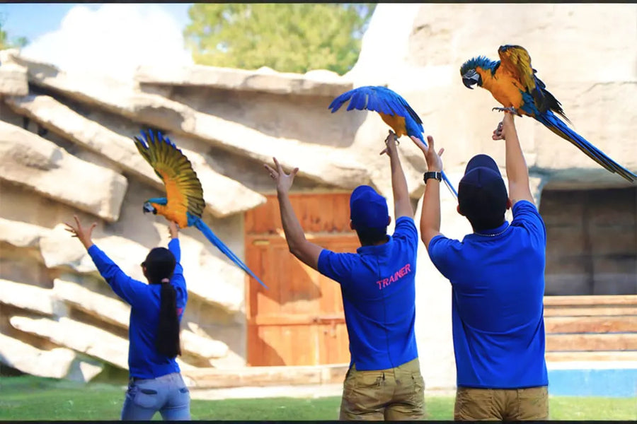 Emirates Park Zoo Tickets - 8