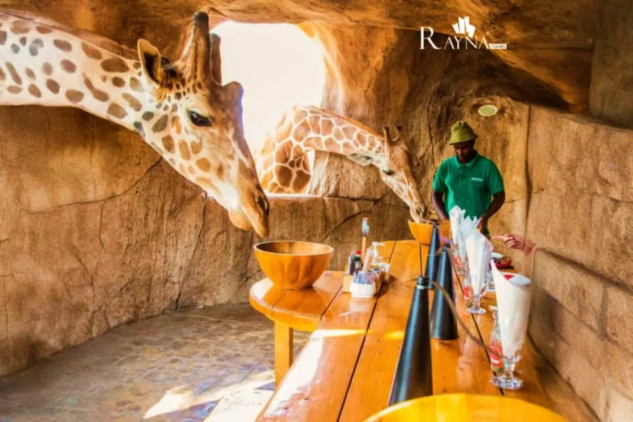 Emirates Park Zoo Tickets - 9