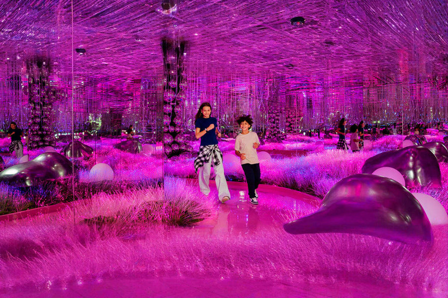House Of Hype Dubai Mall - 10