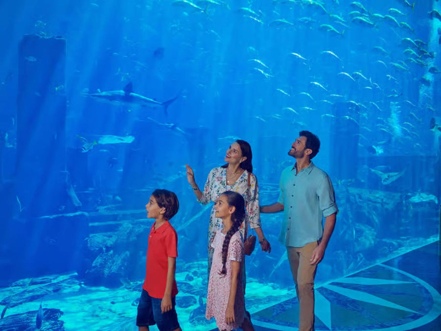 Lost World Aquarium Day Pass - 6