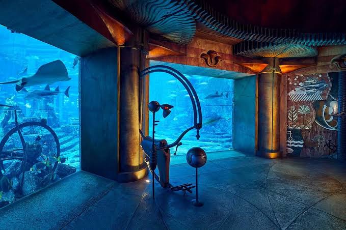 Lost World Aquarium Day Pass - 7