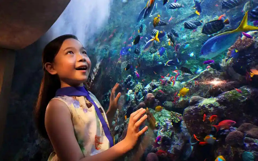 Lost World Aquarium Day Pass - 8