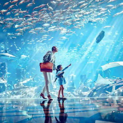 Lost World Aquarium Day Pass