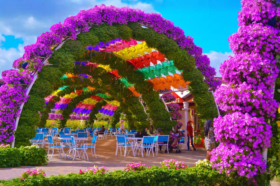 Dubai Miracle Garden - 6