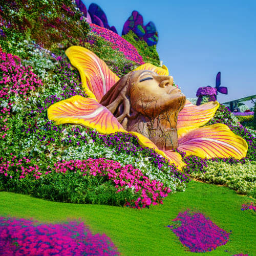 Dubai Miracle Garden