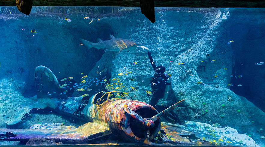 National Aquarium Abu Dhabi