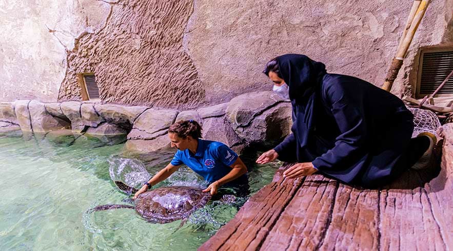 National Aquarium Abu Dhabi - 9