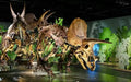 Natural History Museum Abu Dhabi