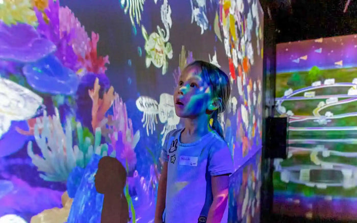 OliOli Children's Play Museum - 2