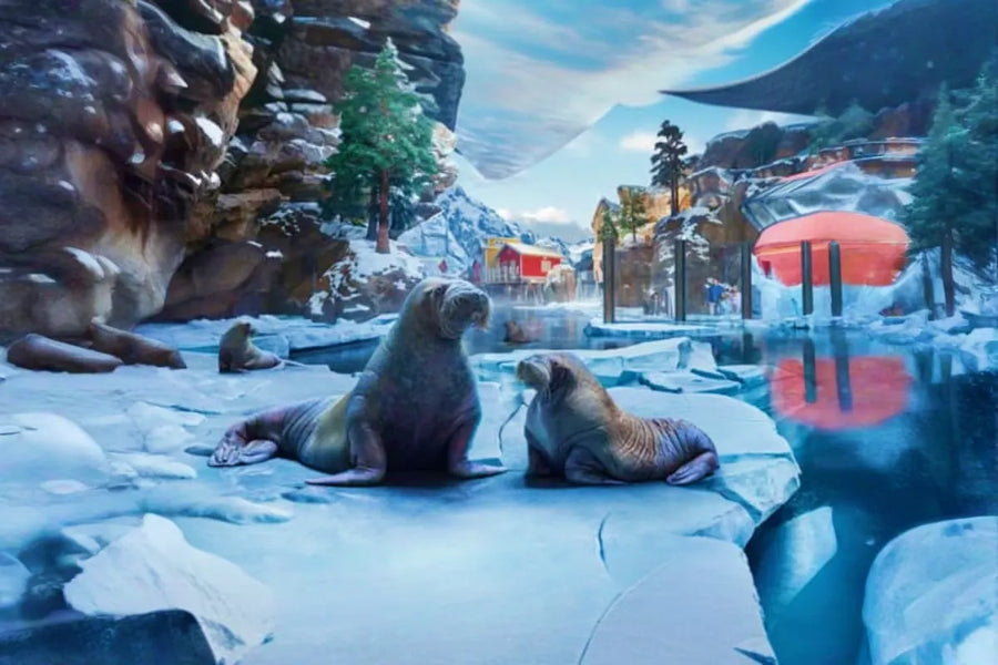 SeaWorld Abu Dhabi - 4