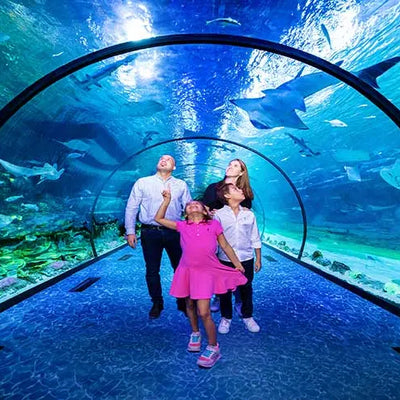 National Aquarium Abu Dhabi