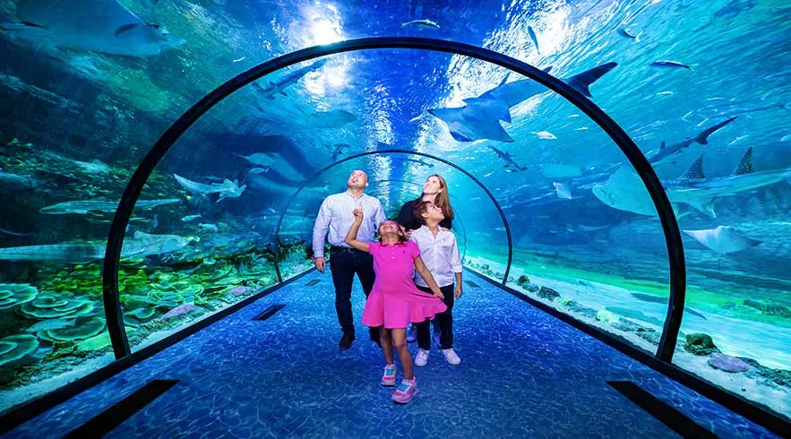 National Aquarium Abu Dhabi - 1