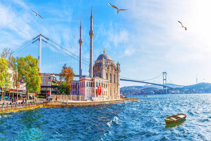 Turkey Visa - 4