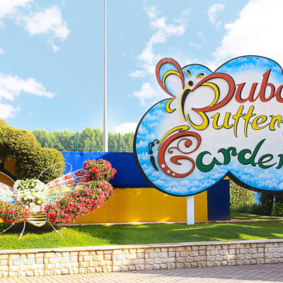 Dubai Butterfly Garden