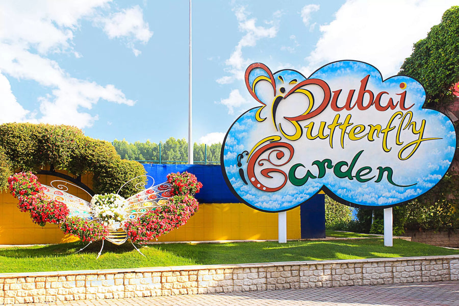 Dubai Butterfly Garden - 1