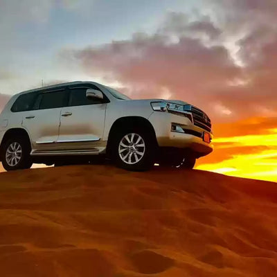 Evening Desert Safari