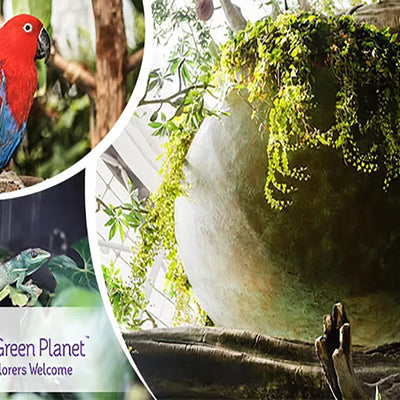 The Green Planet Dubai