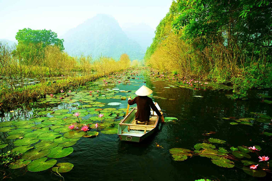 Thailand Visa - 2