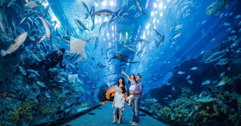 Dubai Aquarium and Underwater Zoo